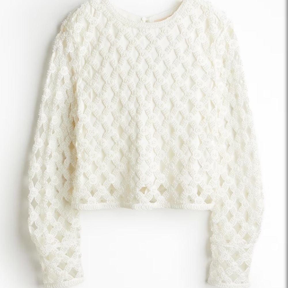 NWT H&M Studio Pearl BEAD-EMBELLISHED Lace Long Sleeve TOP XL